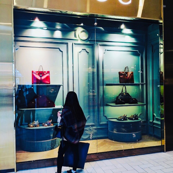 Meet your Posher, Bella - Picture 7 of 7